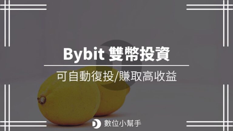 bybit雙幣投資